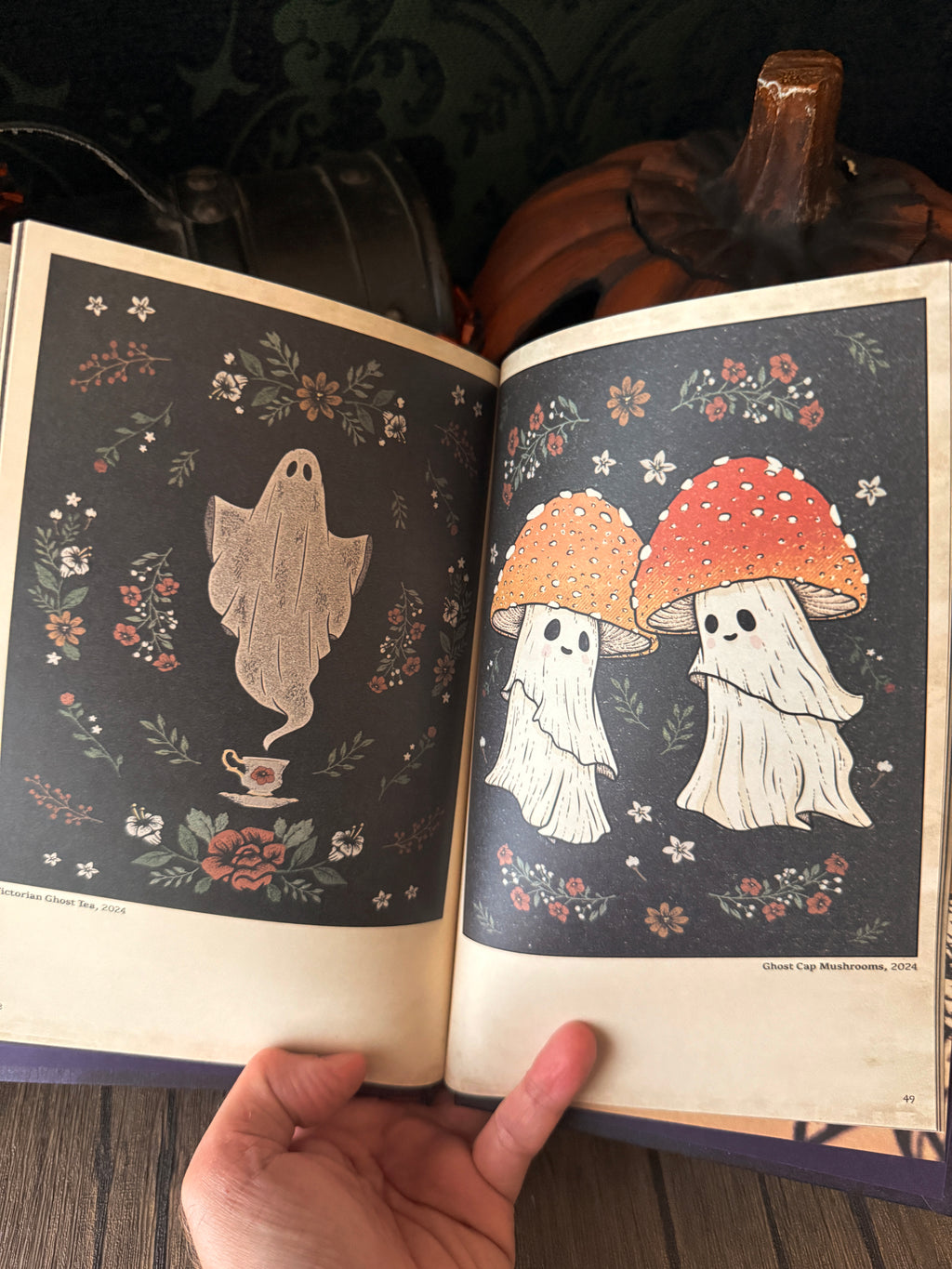 A Season of Shadows Book