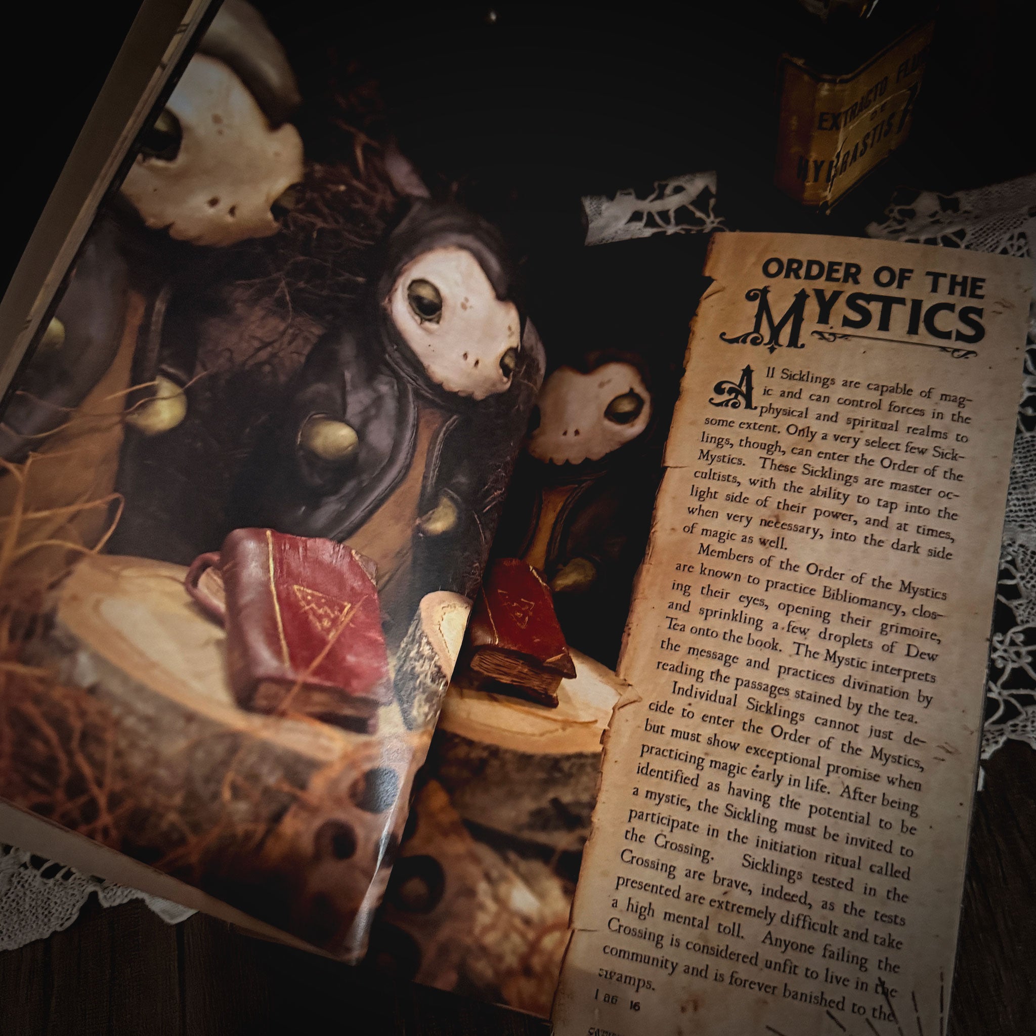 Black Twig Forest Guide