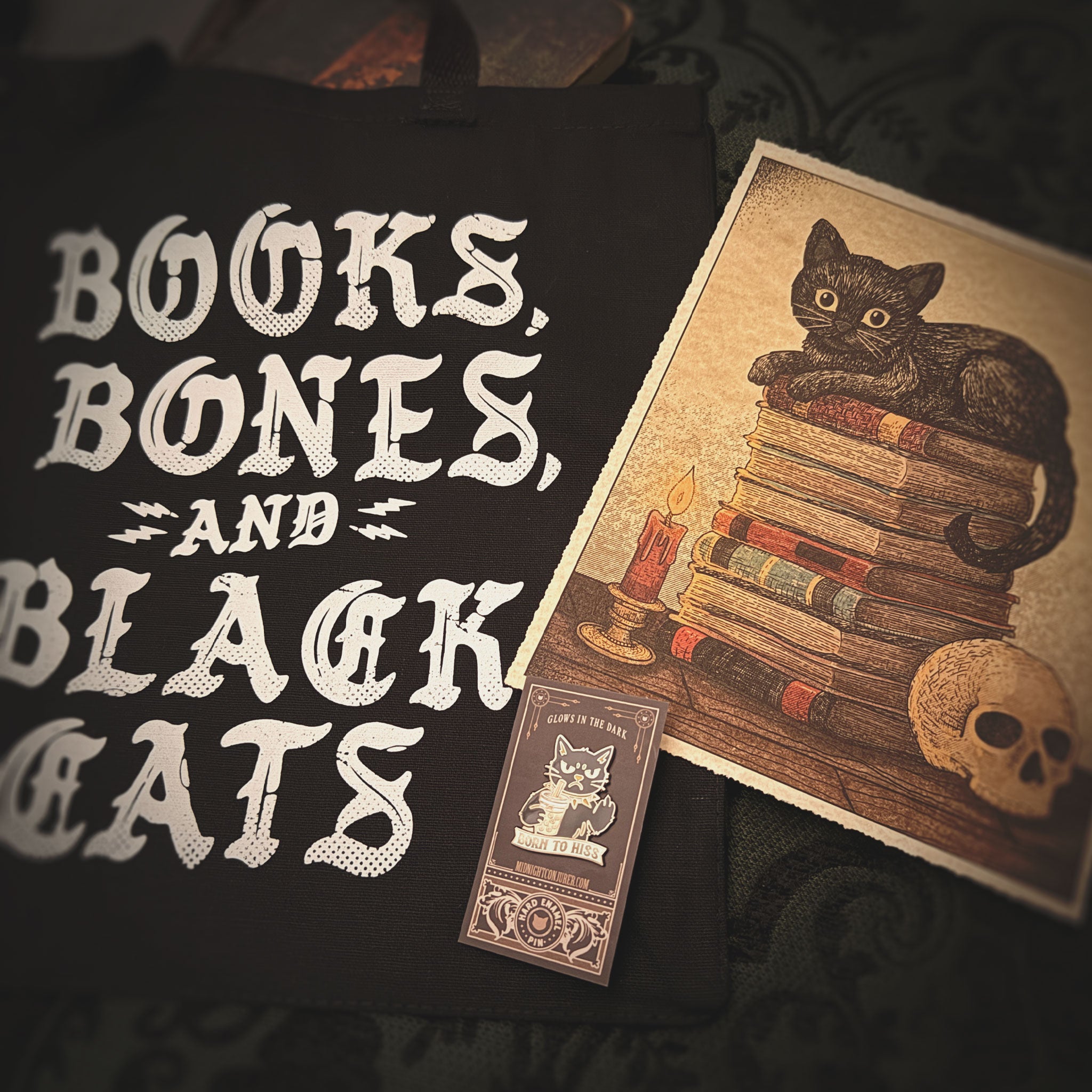 Books, Bones & Black Cats — The Full Library Bundle