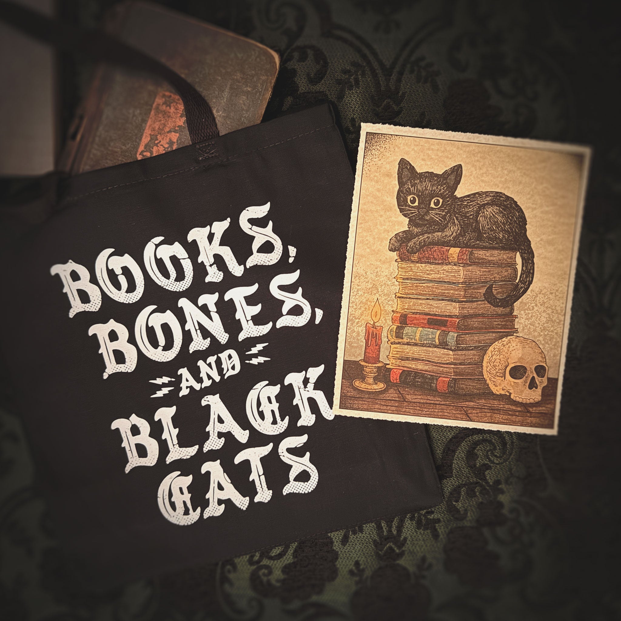 Books, Bones & Black Cats — The Reader's Bundle